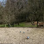 Bed & Breakfast Le Mont Cigale - D'hotes Et Restaurant 3*