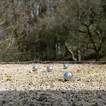 Le Mont Cigale - D'hotes Et Restaurant 3* Vauquois