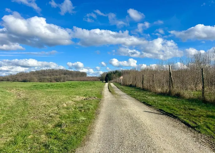 Bed & Breakfast Le Mont Cigale - D'hotes Et Restaurant 3*